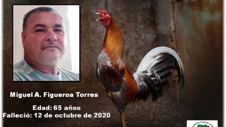 Miguel Figueroa Torres