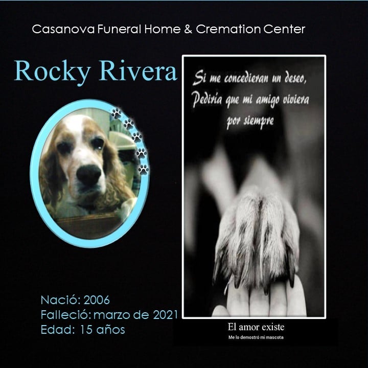 Rocky Rivera