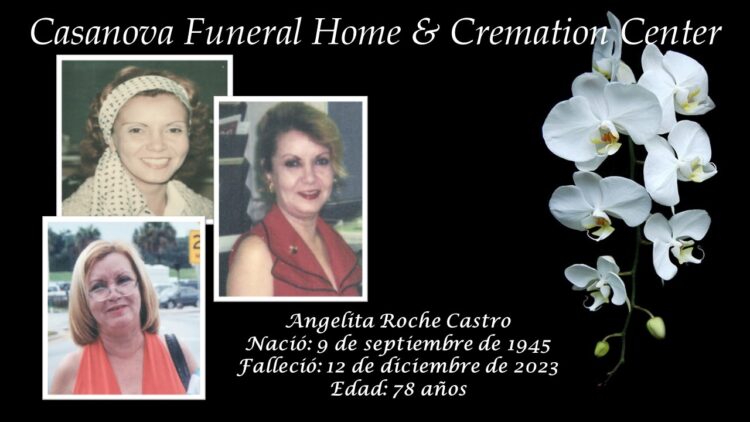 Angelita Roche Castro