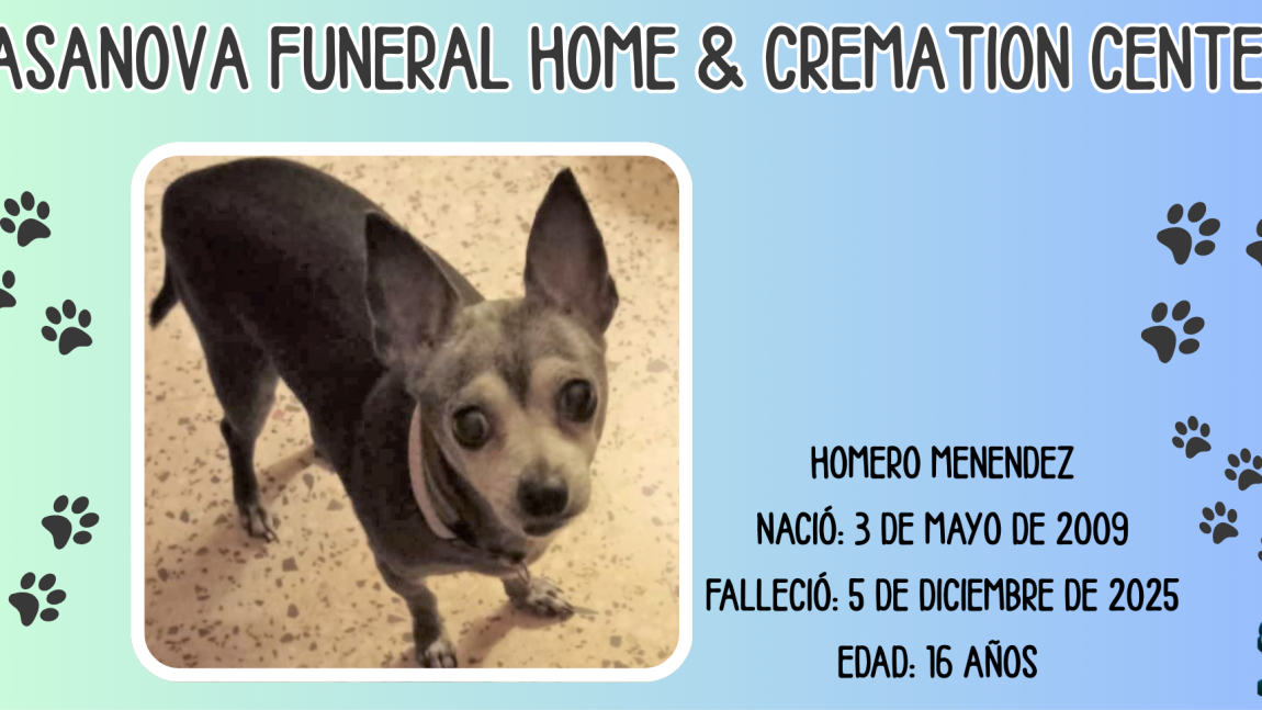 🐾Homero Menéndez🐾