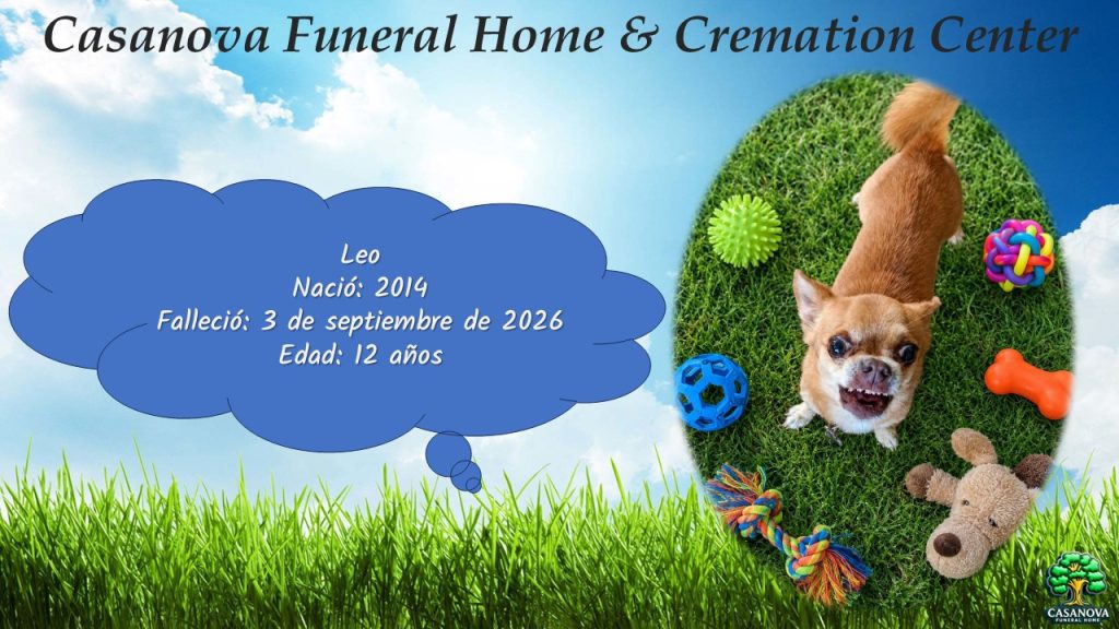 Leo